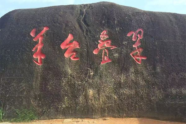佳日豐泰員工之羊臺山爬山之旅 